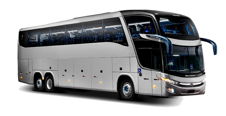 Medium Bus